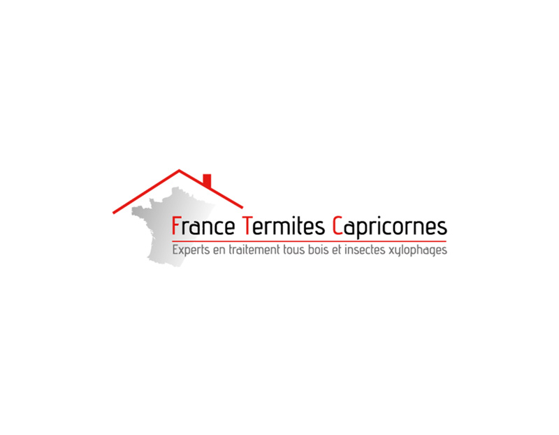 Traitement anti termites sur Bordeaux et sa région : toutes les réponses à vos questions !